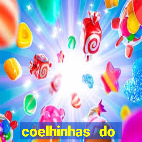 coelhinhas do brasil acompanhantes